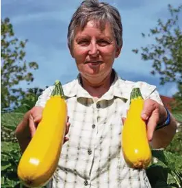  ??  ?? Birgit Lemm mit reifen Zucchinis. Auch nach ihrem Ausscheide­n aus dem aktiven Schuldiens­t wird sie ihrem Schulgarte­n als Beraterin verbunden bleiben. Foto: R. Kraska