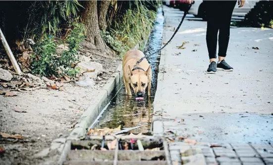  ?? ÀLJO AN MRN ?? La pérdida de agua en el barrio badalonés de Canyet es constante, como denuncian los vecinos