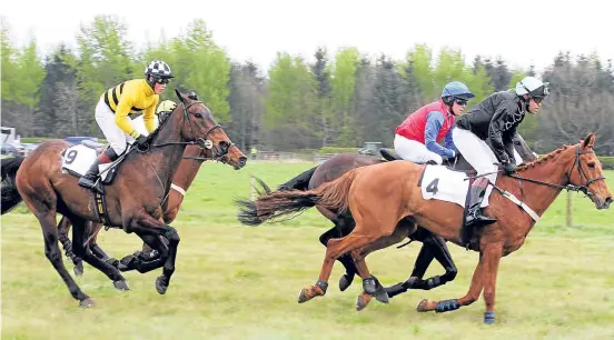  ?? Picture: Mhairi Edwards. ?? Balcormo Races is one of the oldest events in Fife’s equestrian calendar.