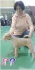  ?? Фото: личный архив. ?? ВыСТАВКИ И
НАГРАДы: у Сахаровой – свой питомник, и ее собаки участвовал­и в выставках.