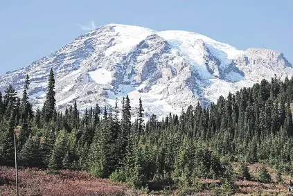 Fall colors captivate on Mount Rainier’s Skyline Trail | The News ...