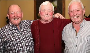  ??  ?? The survivors: John Doyle, Tommy Roche and Aidan Doyle.