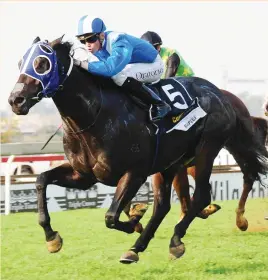  ??  ?? CHAMPION. Rafeef was named Horse Of The Season as well as Champion Older Horse and Champion Sprinter when the RA Highveld Feature Season awards were handed out last night.