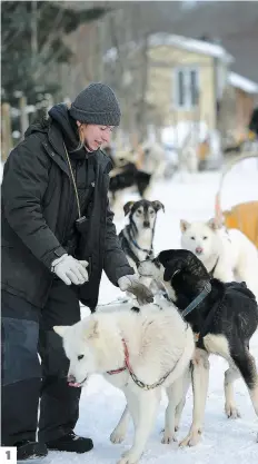  ?? PHOTOS ANNIE T. ROUSSEL, MATHIEU BÉLANGER ?? 1. Au chenil La Poursuite, sur la Rive-sud de Québec, les guides et leurs chiens semblaient se moquer du froid, malgré un refroidiss­ement éolien de -30. Plus d’une centaine de clients se sont offert une randonnée d’une heure en traîneau. 2. Malgré un...