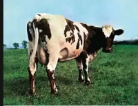  ?? ?? ¿YO UNA BATERÍA?
Podría preguntar la vaca en la portada de Atom Heart Mother, de Pink Floyd (genial, como todas las de Hypgnosis). Pero lo cierto es que, en lugar de un corazón atómico, los seres vivos tenemos algo parecido a minúsculas baterías.