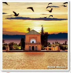  ??  ?? Mellow Morocco