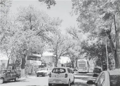  ?? / FOTOS: ARCHIVO OEM ?? La ciudad de Jiménez se ha vuelto peligrosa para taxistas de Parral