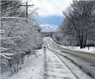  ??  ?? A break in the weather... but for how long? Most people wouldn’t mind the snow if it always looked as pretty as this. Blake Haley came across this bare tree lined road near Braeshore – in Pictou county, N.S.