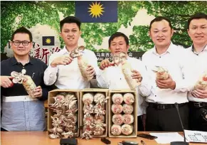  ??  ?? Steady income: (From left) KPMM vice-chairman Datuk Leong Kim Soon, Chong, Agrogembir­a director Tan Kok Hong, KPMM directors Ling Kah Chok and Datuk Seri Liu Mun Hon holding mushrooms to be given to low-income families.