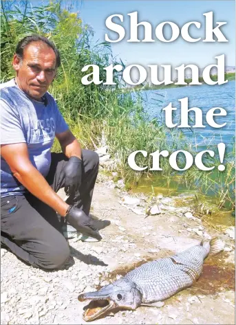  ??  ?? İzzet Çavuş who discovered the crocodile fish