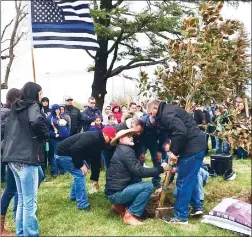  ??  ?? The Corona family planted a magnolia tree at Belfour Park in Arbuckle on Saturday to honor their daughter Natalie.