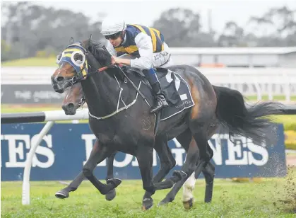  ?? Photo / Bradley Photograph­y ?? Quick Thinker gives the Baker-Forsman partnershi­p their first group win of the season at Rosehill.