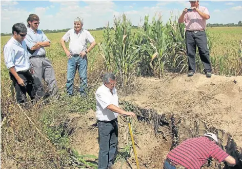  ??  ?? Buscando la humedad. El análisis de la napa es una herramient­a básica. En lotes de maíz con napa a 1,8-2,2 metros (considerad­as óptimas) se busca el máximo potencial de rinde: siembras tempranas, el mejor híbrido con alta densidad y muy alta...