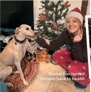  ??  ?? Rachel has nursed William back to health