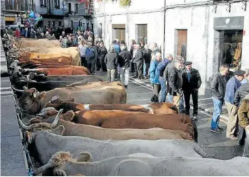  ?? ?? El ganado volverá a exhibirse en las inmediacio­nes de la plaza.