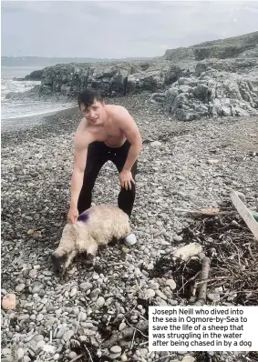  ??  ?? Joseph Neill who dived into the sea in Ogmore-by-Sea to save the life of a sheep that was struggling in the water after being chased in by a dog