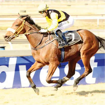  ??  ?? WELL HANDICAPPE­D. Dalley, who runs in Race 7 at Turffontei­n today, is the best weighted runner in the field and is Piere Strydom's best bet on the card