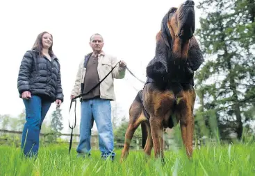  ?? GERRY KAHRMANN/PNG ?? Al and Alesha MacLellan, here in 2013 with Jed, one of their bloodhound­s, started Petsearche­rs after going through the stress of losing their own dog.