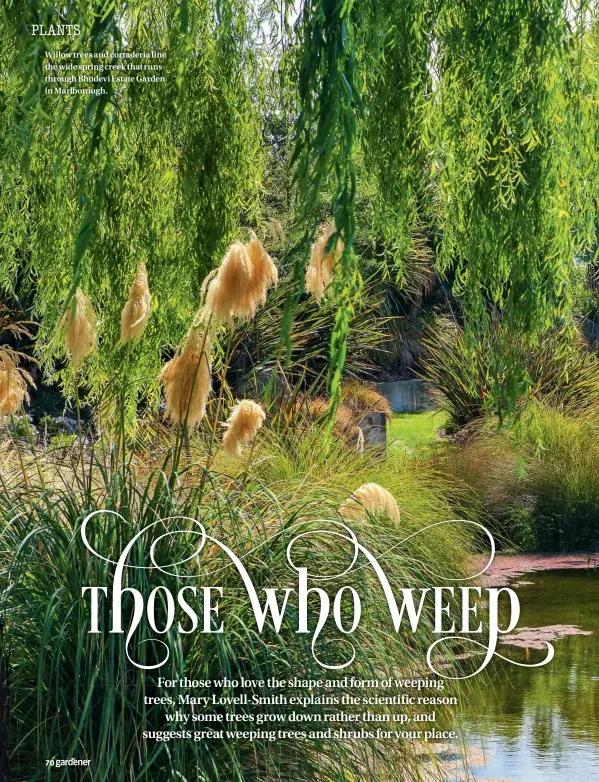  ??  ?? Willow trees and cortaderia line the wide spring creek that runs through Bhudevi Estate Garden in Marlboroug­h.