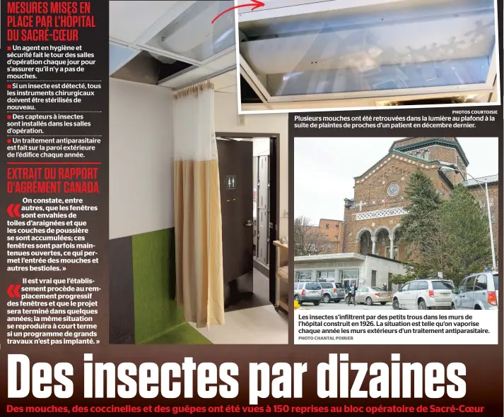  ??  ?? Les insectes s’infiltrent par des petits trous dans les murs de l’hôpital construit en 1926. La situation est telle qu’on vaporise chaque année les murs extérieurs d’un traitement antiparasi­taire.