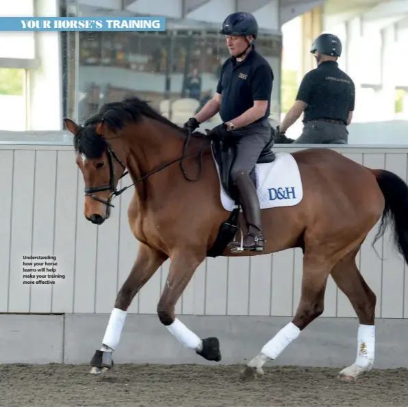  ??  ?? Understand­ing how your horse learns will help make your training more effective