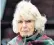  ??  ?? The Duchess of Cornwall is a high-profile supporter of the Shetland Pony Stud-Book Society