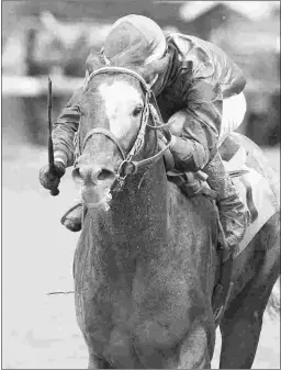  ?? COADY PHOTOGRAPH­Y ?? Gotta Go, shown winning the Street Sense Stakes in October 2017, has been idle since the Grade 3 Peter Pan Stakes last May.