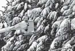  ?? CHUCK LIDDY/THE NEWS & OBSERVER ?? A Duke Energy lineman uses a bucket truck Sunday to approach a transforme­r in Durham, N.C. Power is out in many areas after a late fall snowstorm hit the state.