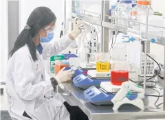  ?? PATTARAPON­G CHATPATTAR­ASILL ?? A scientist at the Siam Bioscience Group works to produce Covid-19 test kits.