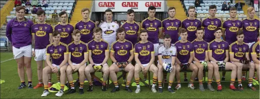  ??  ?? The Wexford squad. Back (from left): Jack O’Leary, Jamie Myler, Dylan Furlong, Ronan Devereux, Ian Hawkins, Mikie Dwyer, John Dunne, Mark O’Neill, Ga Walsh, Richie Waters, Darragh Lyons (capt.), Quinn Saunders. Front (from left): Paddy Dunbar, Jamie...