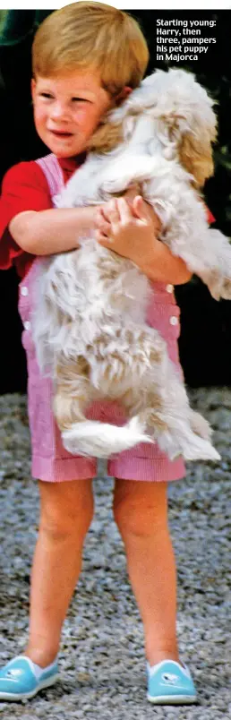  ??  ?? Starting young: Harry, then three, pampers his pet puppy in Majorca PICTURE RESEARCH: CLAIRE CISOTTI