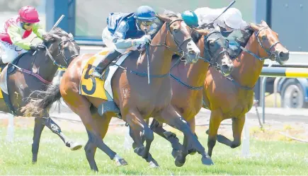  ?? Photo / Race Images ?? Vigor Winner won the Taranaki Summer Challenge last month to make it two wins from two starts.