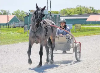  ?? CHRIS CONNORS/CAPE BRETON POST ?? Shane Faulkner takes Mommas Little Rose around Northside Downs on Thursday. The halfmile oval at the Cape Breton County Exhibition Grounds on Regent Street in North Sydney opens the season with a seven-dash card Saturday. Post time is 1 p.m.