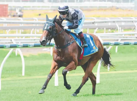  ?? Picture: GRANT PETERS ?? Houtzen does it easy at Eagle Farm earlier this season, a formline that is continuing for the Gold Coast horse of the year.