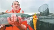  ?? JEFF J MITCHELL / GETTY IMAGES ?? John MacLeod, site manager at Scottish Sea Farms, Lismore North farm, holds a salmon in Oban, Scotland.