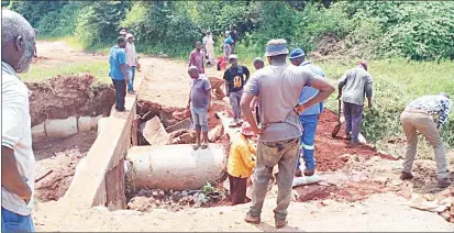  ?? (Courtesy pics) ?? Lomshiyo residents working on the bridge.