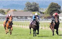  ?? ?? Platinum Invador (second from left) at the Levin jumpouts, finishing third behind winner Glide Queen.