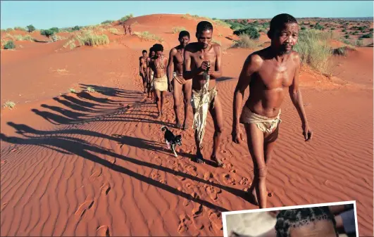  ?? Picture: AP ?? FIRST PEOPLE: Khoisan, led by Dawid Kruiper, on the dunes in the Kalahari Gemsbok Park in 1999, on their way to visit the grave of an ancestor. The 500-strong Khomani tribe has lodged a claim for a huge swathe of the Kalahari desert, where they have...