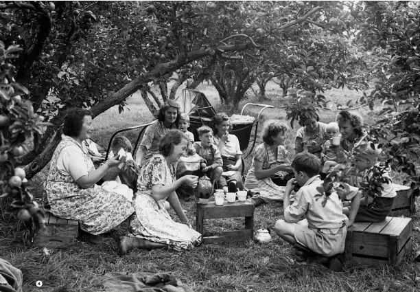  ??  ?? 4
Hop-picking 1 holidays in the 1950s were a family affair. 2 Bottoms up! Fisherwome­n laying barrels with salt in preparatio­n for herring curing. The work was hard, but they played harder. 3 Young children sorting the hops, 1928. 4 More tea, picker? A break from fruit picking in Malling, Kent