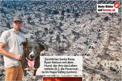  ??  ?? Zerstörtes Santa Rosa; Ryan Nelson mit dem Hund, der ihm das Leben rettete ( li.); die Feuerwalze im Napa Valley ( unten).