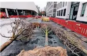  ??  ?? Die Pflanzunge­n geschehen auch an der Bleichstra­ße, hinten ist der Hofgarten zu sehen.