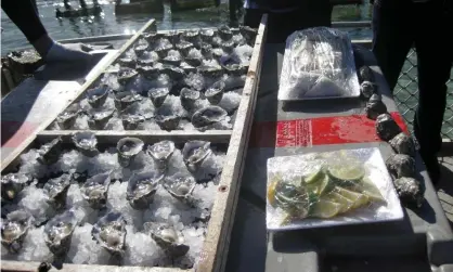  ?? Photograph: Liza Kappelle/AAP ?? An outbreak of the Vibrio bacteria has made at least a hundred people ill and shuttered South Australia’s Coffin Bay oyster industry.