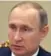  ??  ?? Germany believes Russian President Vladimir Putin is behind attempts to topple pro-EU government­s.
