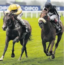  ??  ?? Raydiance, left, winning at Ascot last year