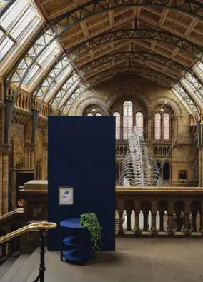  ??  ?? Un esqueleto de ballena azul de 25 m suspendido en el aire domina el Hintze Hall, que exhibe la instalació­n con el tono Scotch
Blue de la firma inglesa.