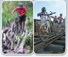  ??  ?? Troncos caídos y puentes del ferrocarri­l, dos de los infaltable­s. En el caso de las vías no es convenient­e rodar la bici sobre los rieles, porque puede patinar y romperse la pata de cambios.