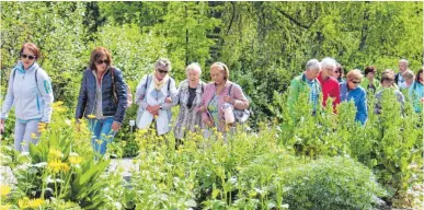  ??  ?? Die Frittlinge­r erleben einen abwechslun­gsreichen Ausflug in Tübingen. FOTO: PM