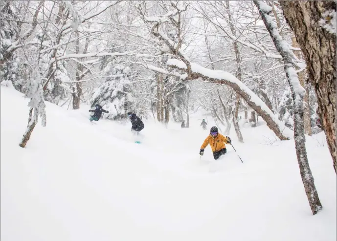  ?? PHOTO COURTESY JAY PEAK ?? Deep powder makes tree skiing sublime via the Jay Cloud at Jay Peak.