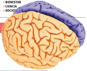  ??  ?? > BIENESTAR > CIENCIA > SOCIEDAD