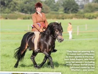  ??  ?? “They have an amazing life;
it makes such a difference to their sparkle in the ring,” says Juliet Rogers, who turns away her ponies – including HOYS winner Barhill Danny (pictured ridden by Gail Whetter) – over winter